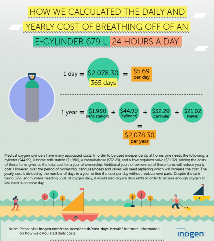 Cost of Breathing off an E-Cylinder 679 L 24 Hours a Day Infographic