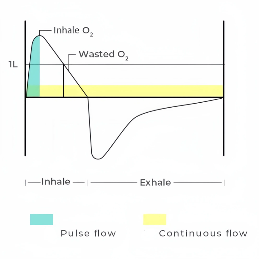 pulse dose oxygen flow vs continuous flow delivery graph showing the wasted oxygen for continuous flow deliver between inhales